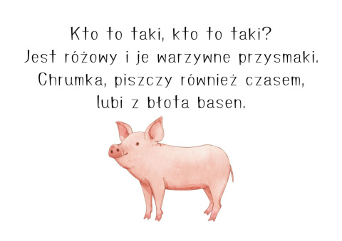 Światowy Dzień Zwierząt Światowy Dzień Zwierząt