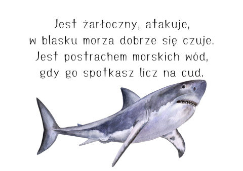 Światowy Dzień Zwierząt Światowy Dzień Zwierząt